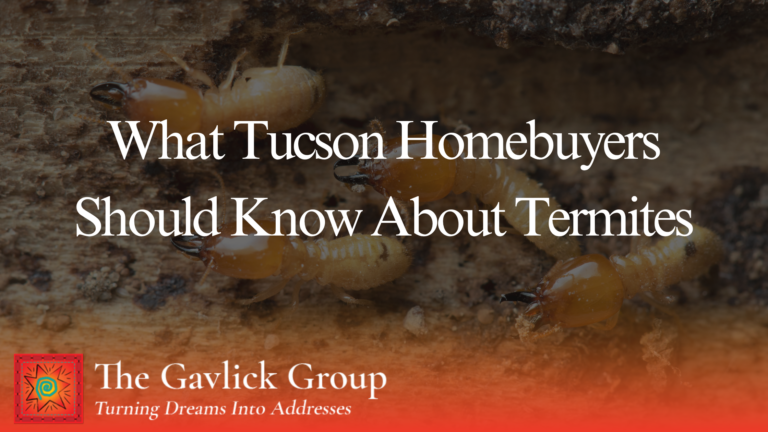 What Tucson Homebuyers Should Know About Termites